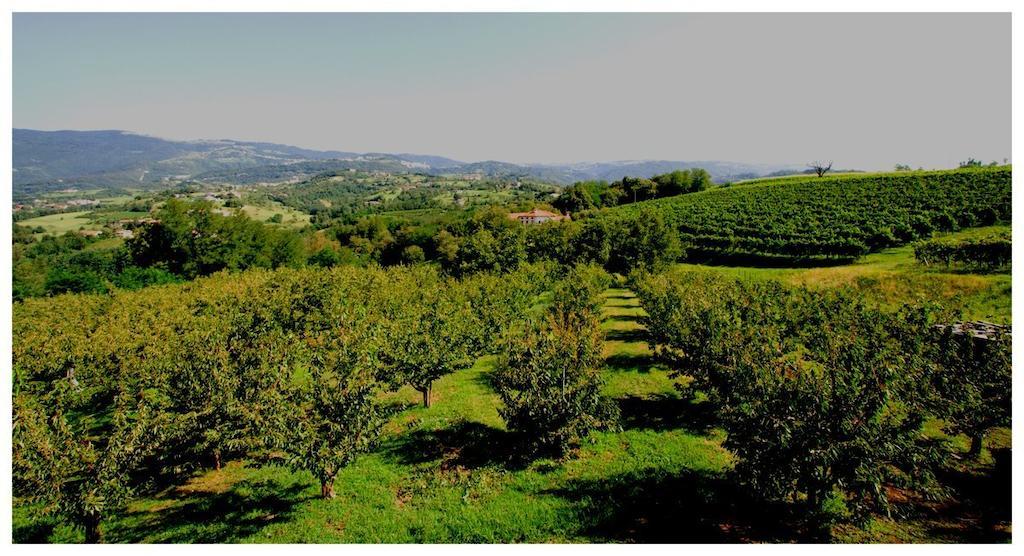 Tenuta Fortelongo Fara Vicentino Rom bilde